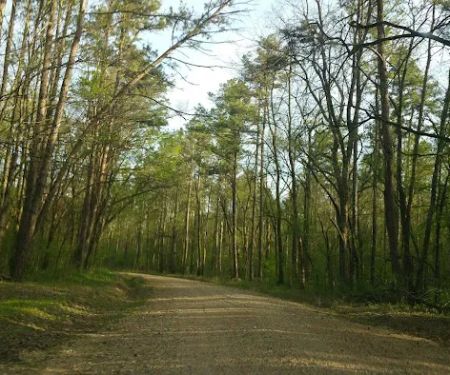 Deer Leap Campground