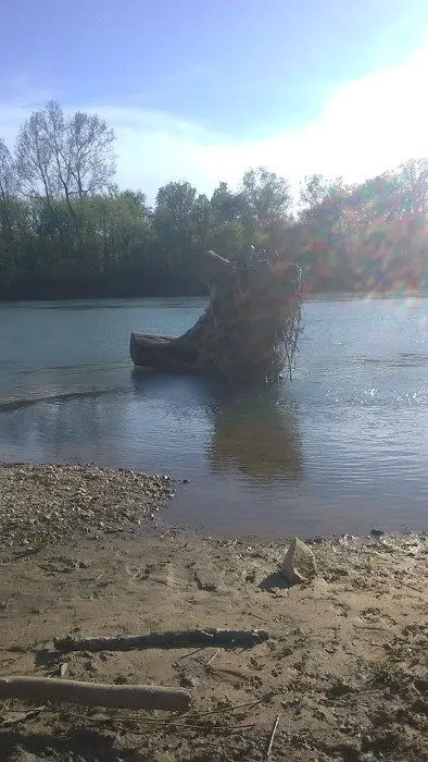 Float Camp Picnic Area Picture 7