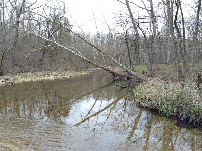 Buffalo Creek Campground Picture 7