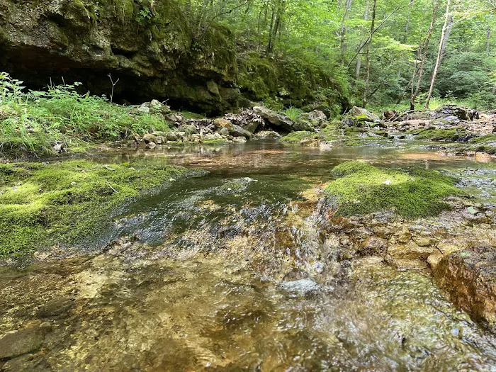 Buffalo Creek Campground Picture 1