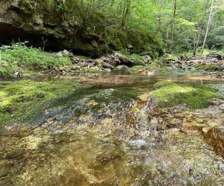 Buffalo Creek Campground