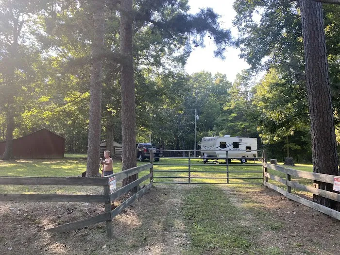 Williams Camp and RV Picture 4