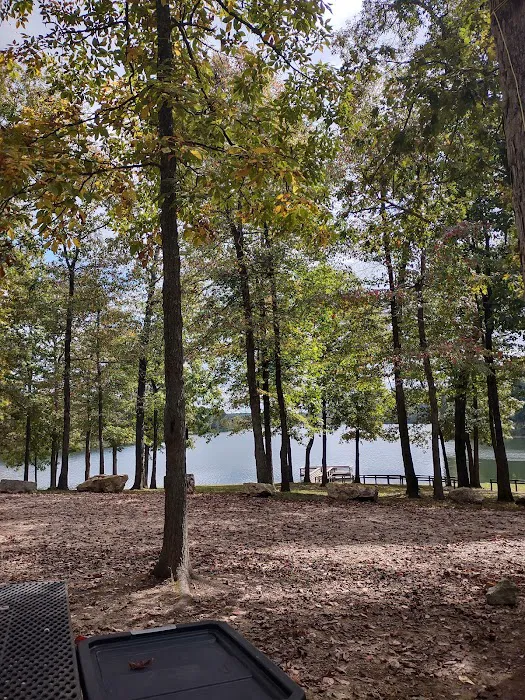 Fourche Lake Recreation Area, Mark Twain National Forest Picture 9