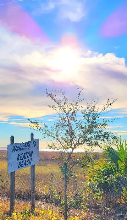 The Oasis RV Campground Picture 4