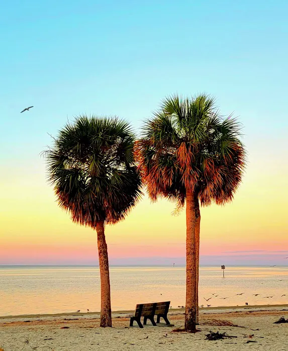 The Oasis RV Campground Picture 6