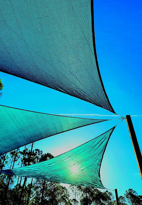 The Oasis RV Campground Picture 5