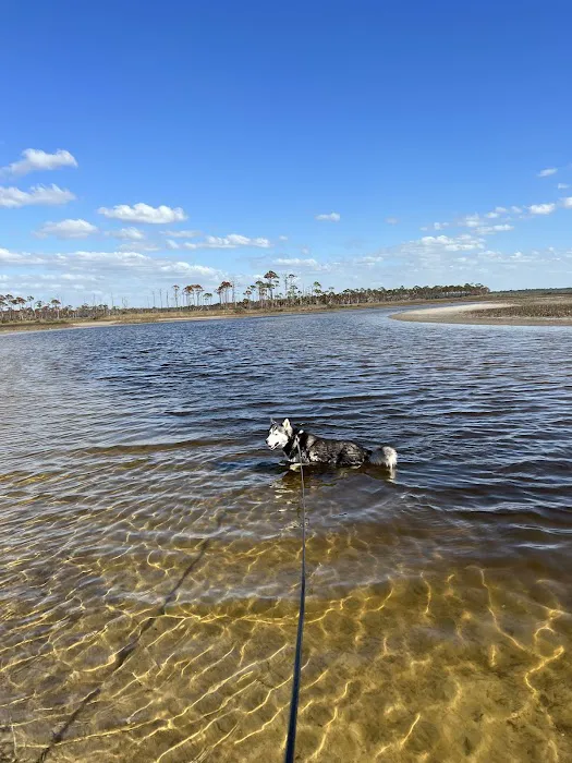Campfire at Keaton, LLC Picture 3