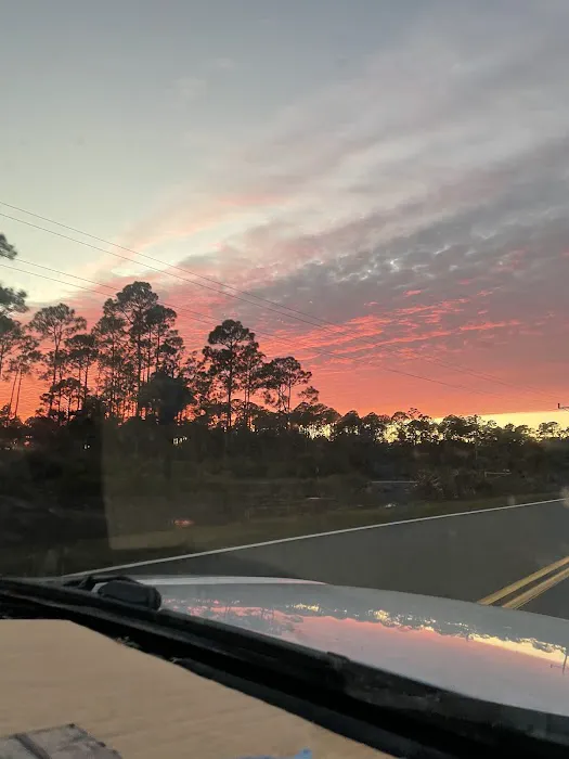 pura vida overnight Picture 1