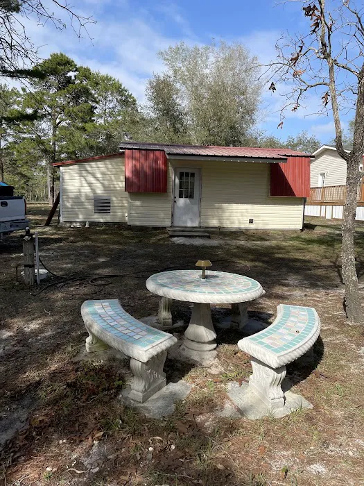 pura vida overnight Picture 3