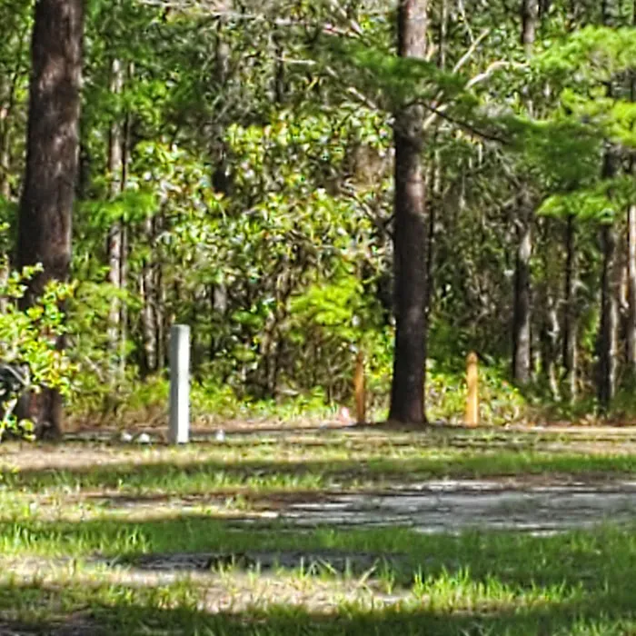 pura vida overnight Picture 4