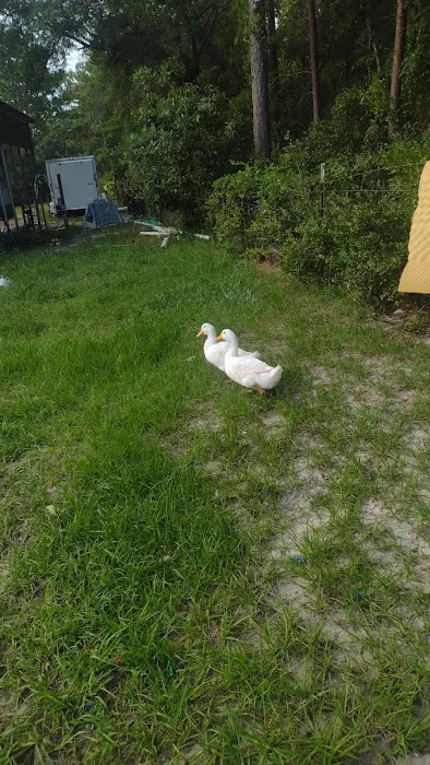 Camp Spoon Bill Picture 2