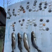 Scallop Tyme RV Campground ico