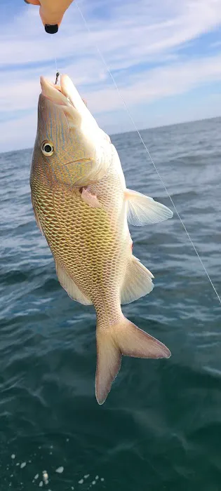 Anchors Out Rv Campground Picture 2