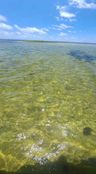 Anchors Out Rv Campground Picture 3