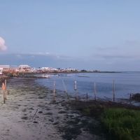 Old Pavilion RV Camp Ground ico