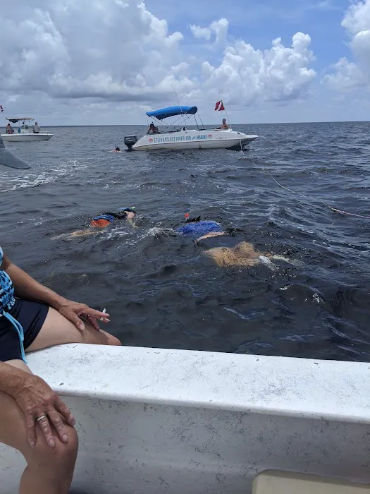 Kamp Keaton Picture 6