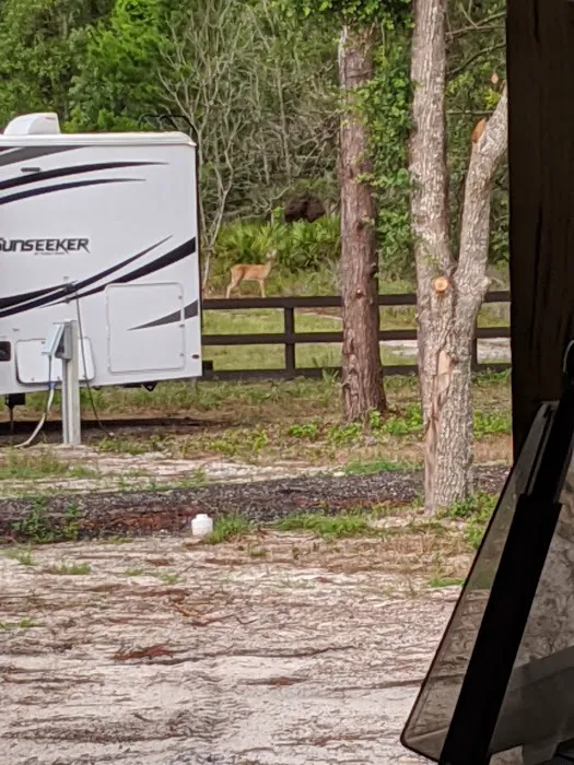 Kamp Keaton Picture 8