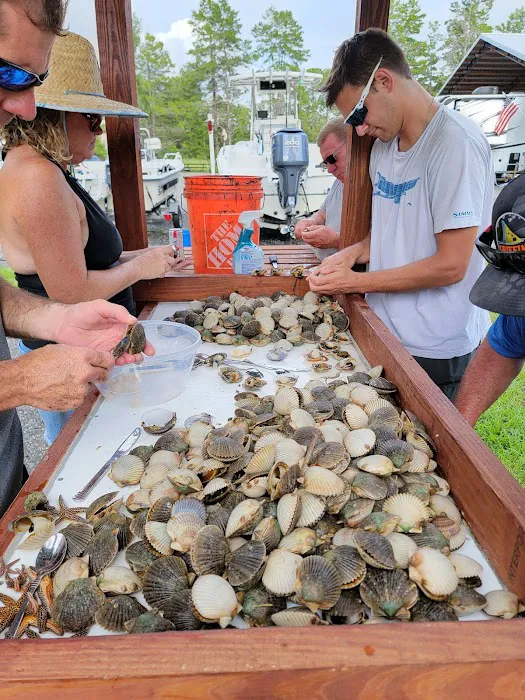 Kamp Keaton Picture 9