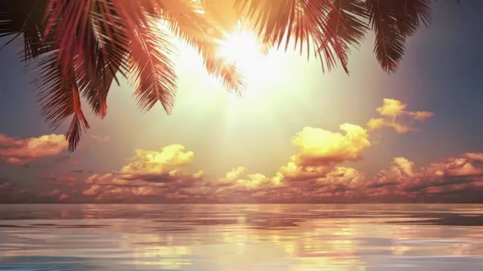 Camp SeaFour Picture 9