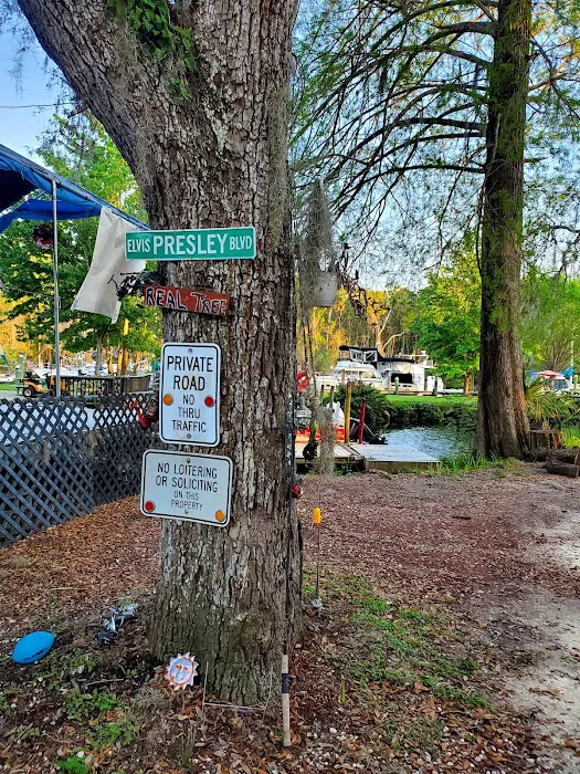 Fisher's Marina & Campground Picture 8