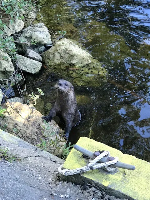 Fisher's Marina & Campground Picture 5