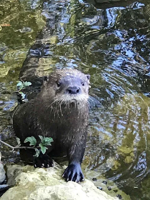Fisher's Marina & Campground Picture 7
