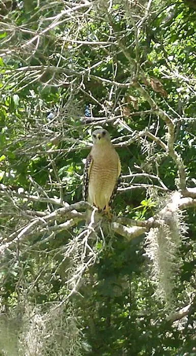 New Smyrna Beach RV Park Picture 6