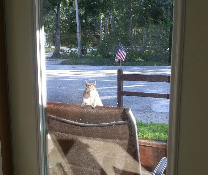 New Smyrna Beach RV Park Picture 9