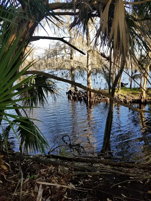 Black Bear Campsite / Shelter Picture 2