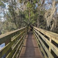 Black Bear Campsite / Shelter ico