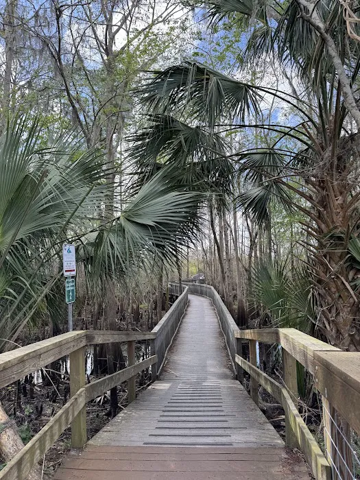 Black Bear Campsite / Shelter Picture 5