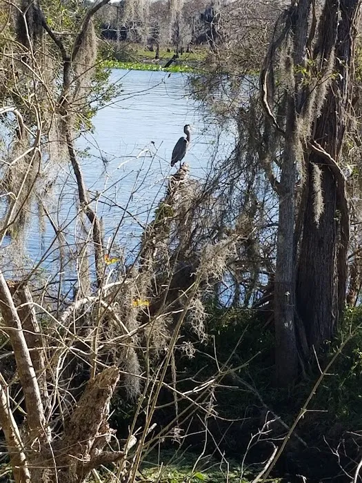 Black Bear Campsite / Shelter Picture 3