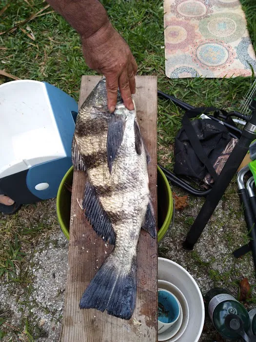 Jone's Canal Campground Picture 2