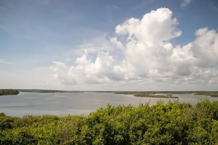 Canaveral National Seashore Backcountry Island Campground Picture 2