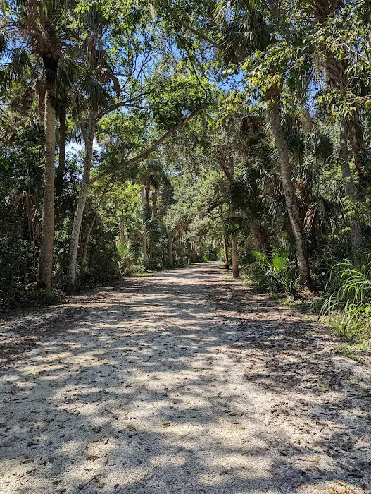 Canaveral National Seashore Backcountry Island Campground Picture 8