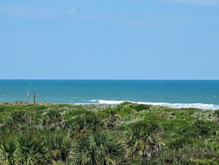 Canaveral National Seashore Backcountry Island Campground Picture 6