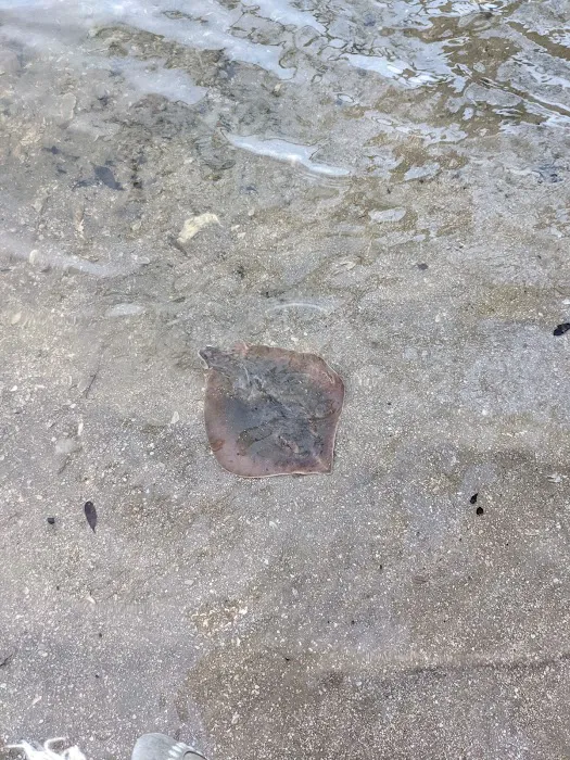 Homestead Campground Picture 1