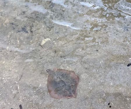 Homestead Campground