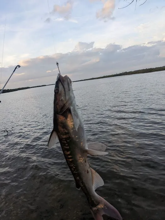 Homestead Campground Picture 3