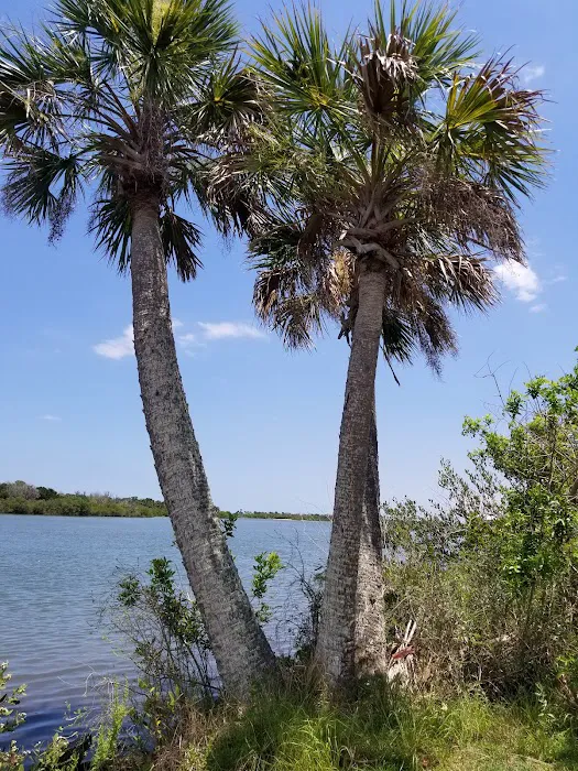 Riverwood Park Campground Picture 2