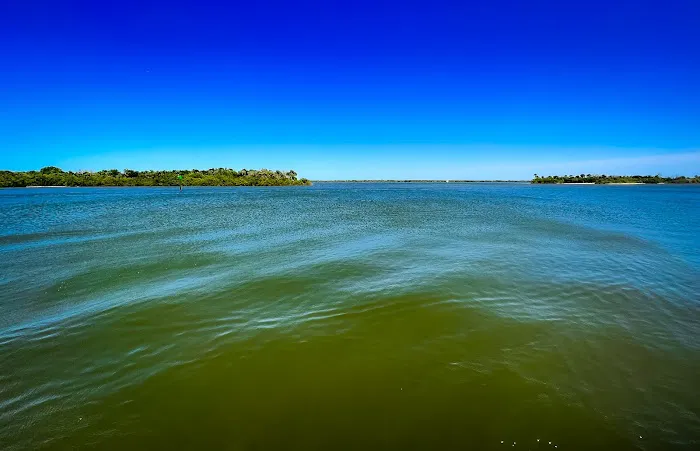 Riverwood Park Campground Picture 1