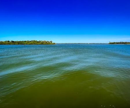 Riverwood Park Campground