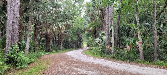 Sulpher Camp Picture 1