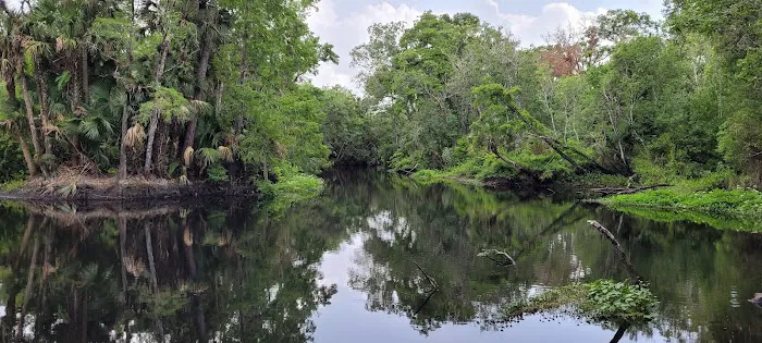 Sulpher Camp Picture 2