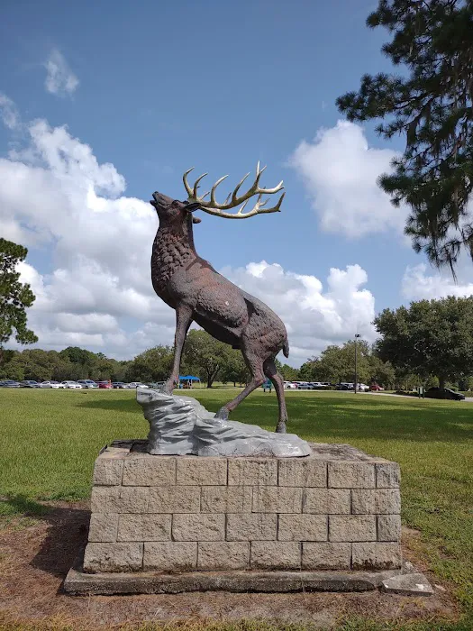 Florida Elks Youth Camp Picture 10