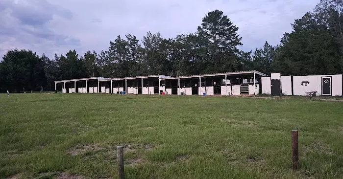 Black Horse Resort Ranch Picture 6