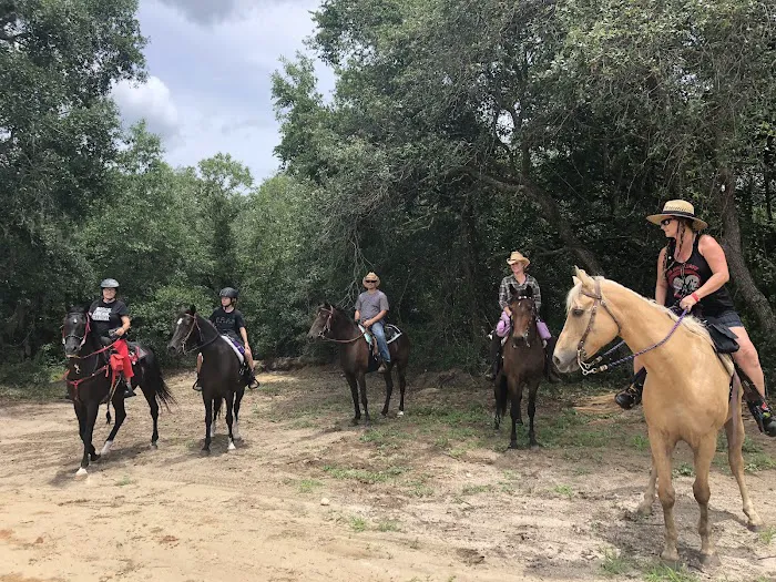 Black Horse Resort Ranch Picture 1