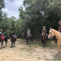 Black Horse Resort Ranch ico