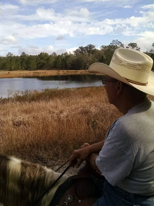 Black Horse Resort Ranch Picture 9