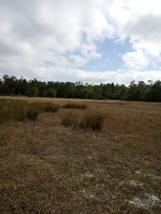 Big Bass Campground Picture 2